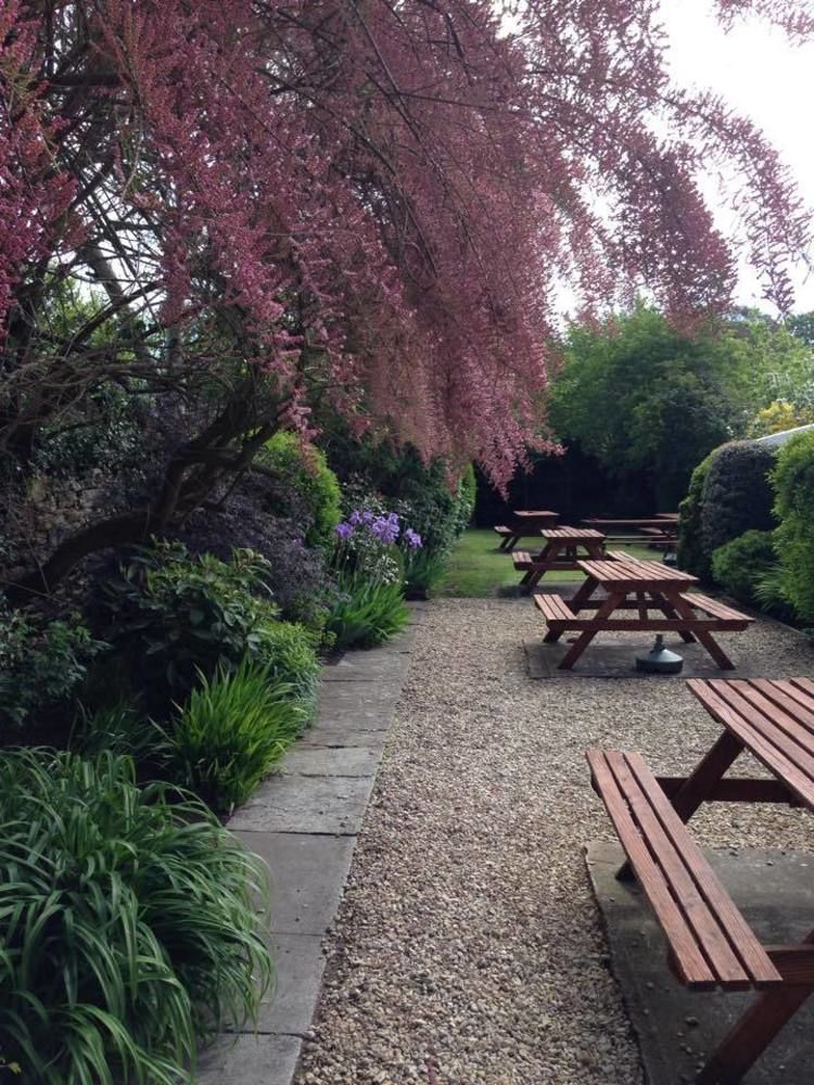 Phelips Arms Montacute Exterior foto